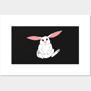 Albino Rabbit Posters and Art